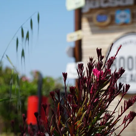 Hotell Smart Luxury & Çeşme