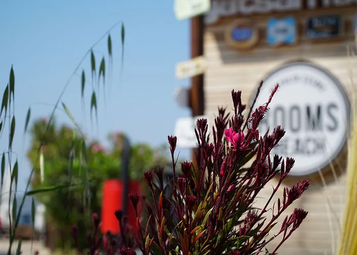 Szálloda Smart Luxury & Çeşme